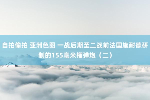 自拍偷拍 亚洲色图 一战后期至二战前法国施耐德研制的155毫米榴弹炮（二）