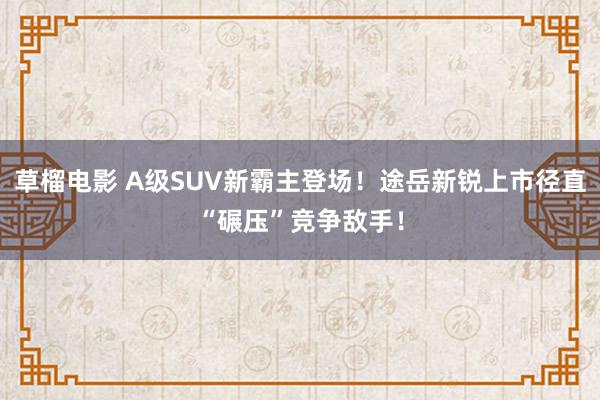 草榴电影 A级SUV新霸主登场！途岳新锐上市径直“碾压”竞争敌手！