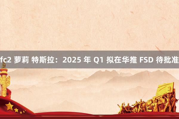 fc2 萝莉 特斯拉：2025 年 Q1 拟在华推 FSD 待批准