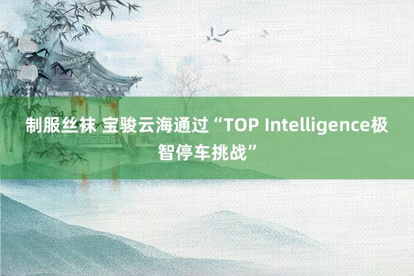 制服丝袜 宝骏云海通过“TOP Intelligence极智停车挑战”