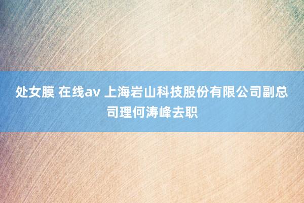 处女膜 在线av 上海岩山科技股份有限公司副总司理何涛峰去职