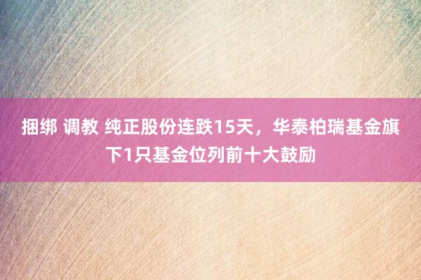 捆绑 调教 纯正股份连跌15天，华泰柏瑞基金旗下1只基金位列前十大鼓励