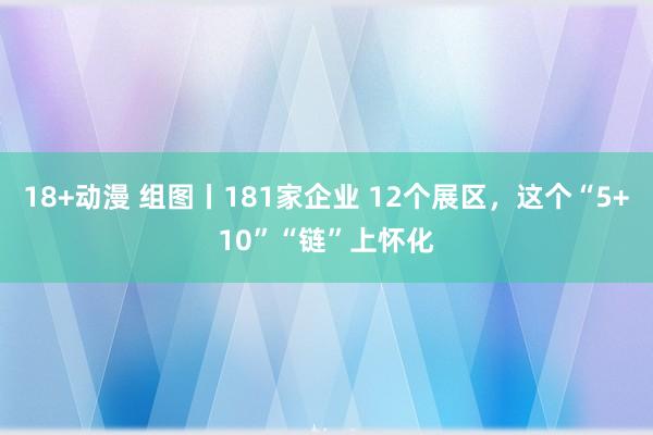 18+动漫 组图丨181家企业 12个展区，这个“5+10”“链”上怀化