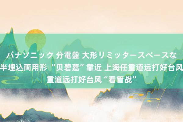 パナソニック 分電盤 大形リミッタースペースなし 露出・半埋込両用形 “贝碧嘉”靠近 上海任重道远打好台风“看管战”