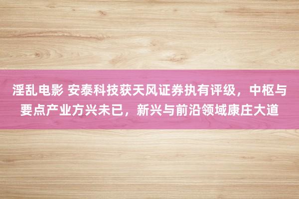 淫乱电影 安泰科技获天风证券执有评级，中枢与要点产业方兴未已，新兴与前沿领域康庄大道