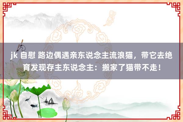 jk 自慰 路边偶遇亲东说念主流浪猫，带它去绝育发现存主东说念主：搬家了猫带不走！