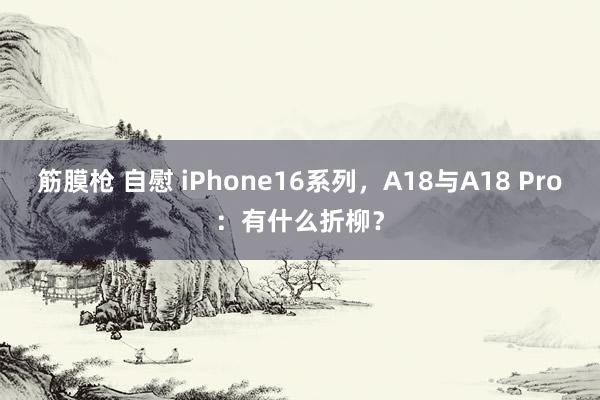 筋膜枪 自慰 iPhone16系列，A18与A18 Pro：有什么折柳？