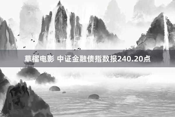 草榴电影 中证金融债指数报240.20点