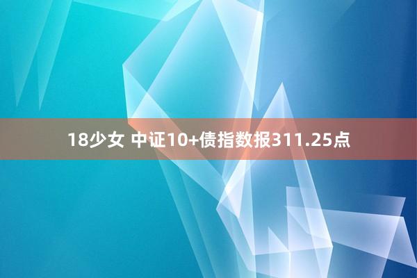 18少女 中证10+债指数报311.25点