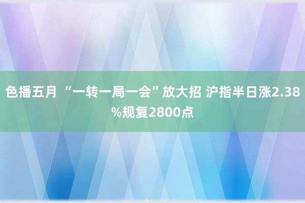 色播五月 “一转一局一会”放大招 沪指半日涨2.38%规复2800点