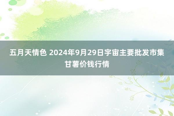 五月天情色 2024年9月29日宇宙主要批发市集甘薯价钱行情