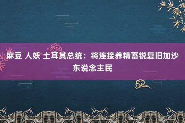 麻豆 人妖 土耳其总统：将连接养精蓄锐复旧加沙东说念主民