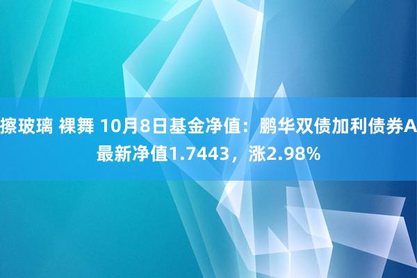 擦玻璃 裸舞 10月8日基金净值：鹏华双债加利债券A最新净值1.7443，涨2.98%