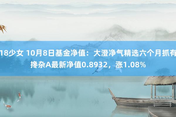 18少女 10月8日基金净值：大澄净气精选六个月抓有搀杂A最新净值0.8932，涨1.08%