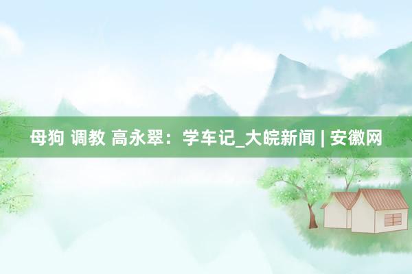 母狗 调教 高永翠：学车记_大皖新闻 | 安徽网