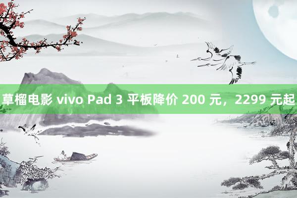 草榴电影 vivo Pad 3 平板降价 200 元，2299 元起