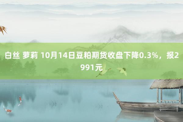 白丝 萝莉 10月14日豆粕期货收盘下降0.3%，报2991元