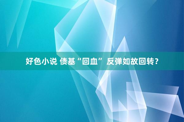 好色小说 债基“回血” 反弹如故回转？