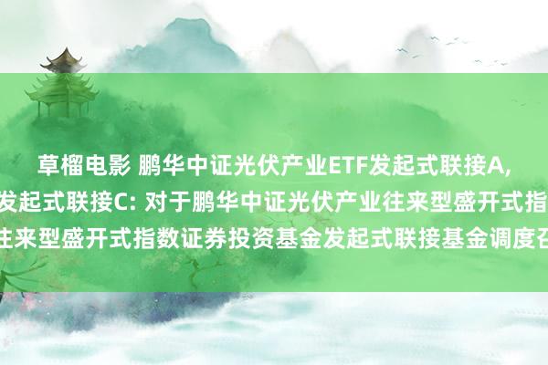 草榴电影 鹏华中证光伏产业ETF发起式联接A，鹏华中证光伏产业ETF发起式联接C: 对于鹏华中证光伏产业往来型盛开式指数证券投资基金发起式联接基金调度召募期限的公告