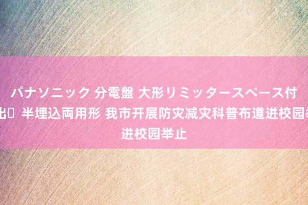 パナソニック 分電盤 大形リミッタースペース付 露出・半埋込両用形 我市开展防灾减灾科普布道进校园举止