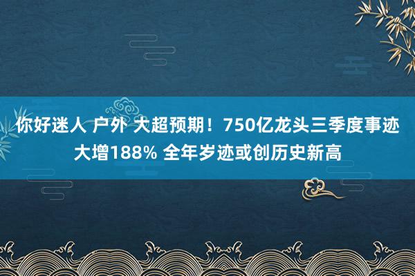 你好迷人 户外 大超预期！750亿龙头三季度事迹大增188% 全年岁迹或创历史新高