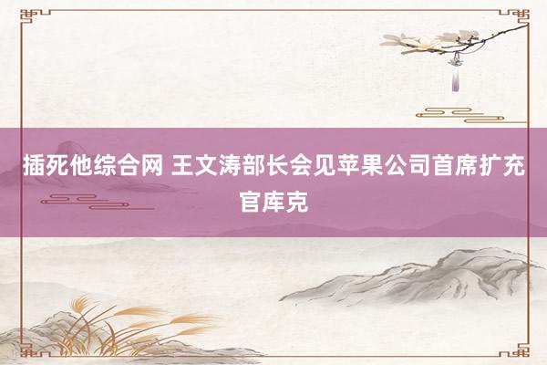 插死他综合网 王文涛部长会见苹果公司首席扩充官库克