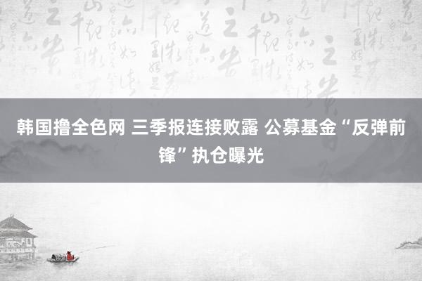 韩国撸全色网 三季报连接败露 公募基金“反弹前锋”执仓曝光