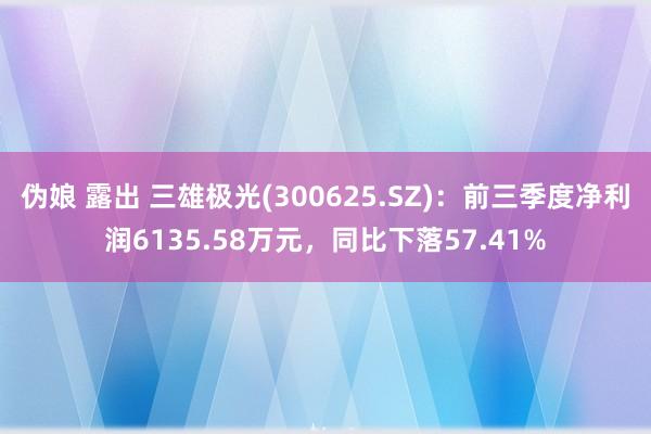 伪娘 露出 三雄极光(300625.SZ)：前三季度净利润6135.58万元，同比下落57.41%