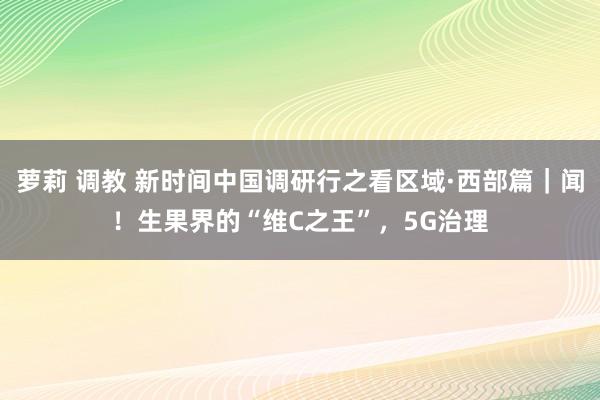 萝莉 调教 新时间中国调研行之看区域·西部篇｜闻！生果界的“维C之王”，5G治理