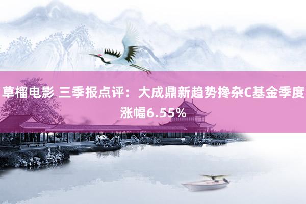 草榴电影 三季报点评：大成鼎新趋势搀杂C基金季度涨幅6.55%