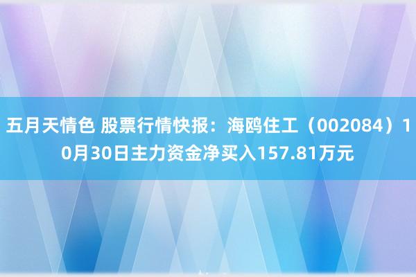 五月天情色 股票行情快报：海鸥住工（002084）10月30日主力资金净买入157.81万元