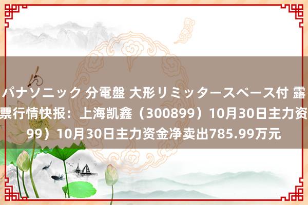 パナソニック 分電盤 大形リミッタースペース付 露出・半埋込両用形 股票行情快报：上海凯鑫（300899）10月30日主力资金净卖出785.99万元