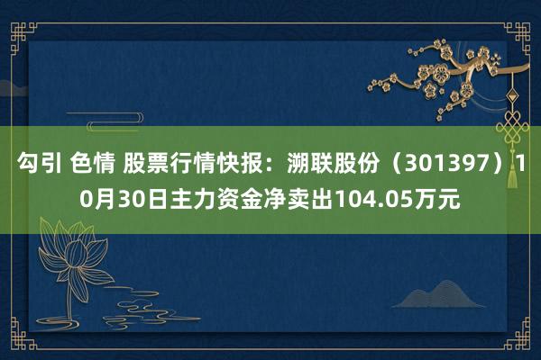 勾引 色情 股票行情快报：溯联股份（301397）10月30日主力资金净卖出104.05万元