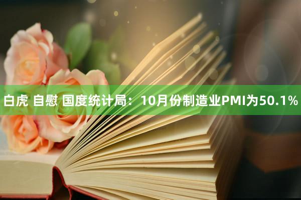 白虎 自慰 国度统计局：10月份制造业PMI为50.1%