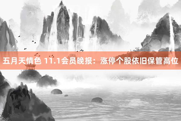 五月天情色 11.1会员晚报：涨停个股依旧保管高位