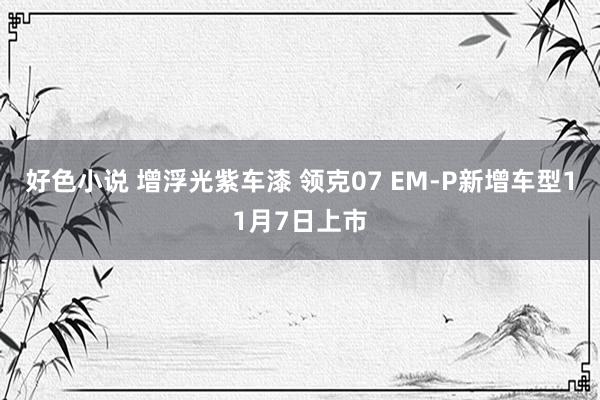 好色小说 增浮光紫车漆 领克07 EM-P新增车型11月7日上市