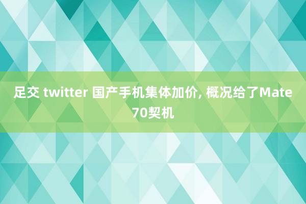 足交 twitter 国产手机集体加价， 概况给了Mate70契机