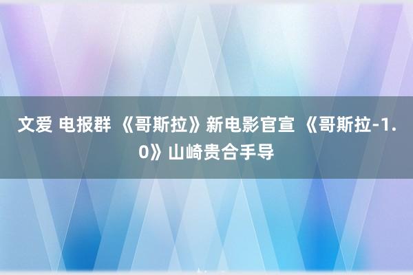 文爱 电报群 《哥斯拉》新电影官宣 《哥斯拉-1.0》山崎贵合手导