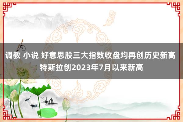 调教 小说 好意思股三大指数收盘均再创历史新高 特斯拉创2023年7月以来新高