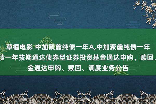 草榴电影 中加聚鑫纯债一年A，中加聚鑫纯债一年C: 中加聚鑫纯债一年按期通达债券型证券投资基金通达申购、赎回、调度业务公告