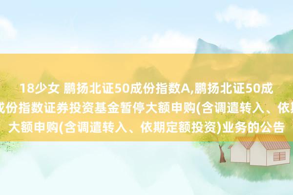 18少女 鹏扬北证50成份指数A，鹏扬北证50成份指数C: 鹏扬北证50成份指数证券投资基金暂停大额申购(含调遣转入、依期定额投资)业务的公告