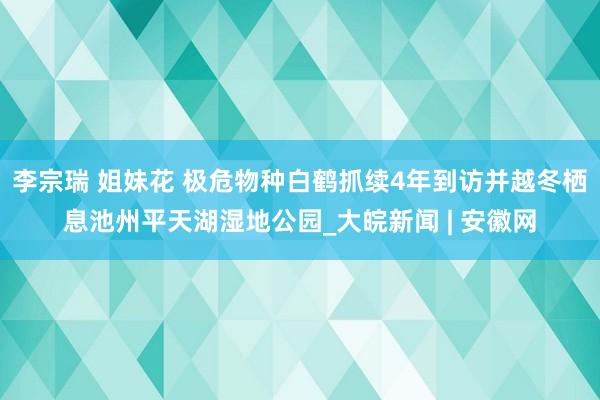 李宗瑞 姐妹花 极危物种白鹤抓续4年到访并越冬栖息池州平天湖湿地公园_大皖新闻 | 安徽网