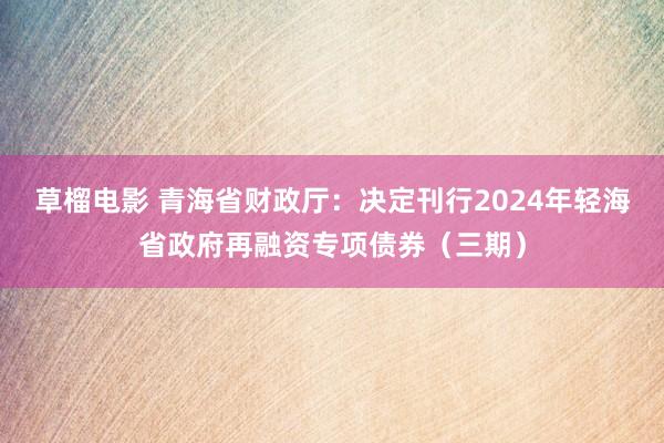 草榴电影 青海省财政厅：决定刊行2024年轻海省政府再融资专项债券（三期）