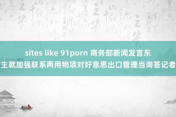 sites like 91porn 商务部新闻发言东谈主就加强联系两用物项对好意思出口管理当询答记者问