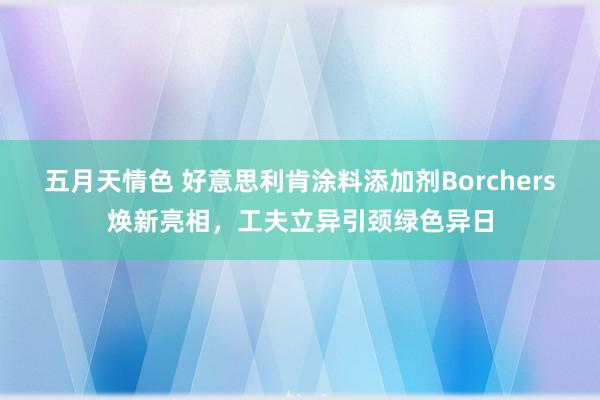 五月天情色 好意思利肯涂料添加剂Borchers焕新亮相，工夫立异引颈绿色异日