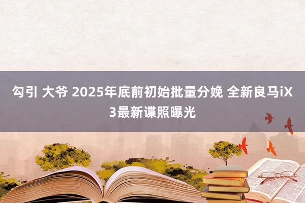 勾引 大爷 2025年底前初始批量分娩 全新良马iX3最新谍照曝光