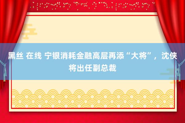 黑丝 在线 宁银消耗金融高层再添“大将”，沈侠将出任副总裁