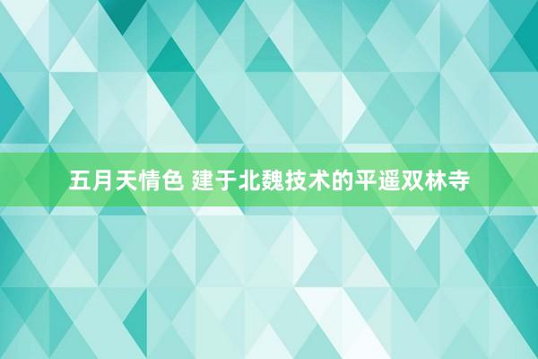 五月天情色 建于北魏技术的平遥双林寺