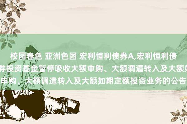 校园春色 亚洲色图 宏利恒利债券A，宏利恒利债券C: 宏利恒利债券型证券投资基金暂停吸收大额申购、大额调遣转入及大额如期定额投资业务的公告