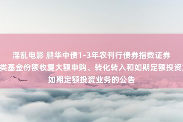 淫乱电影 鹏华中债1-3年农刊行债券指数证券投资基金D类基金份额收复大额申购、转化转入和如期定额投资业务的公告